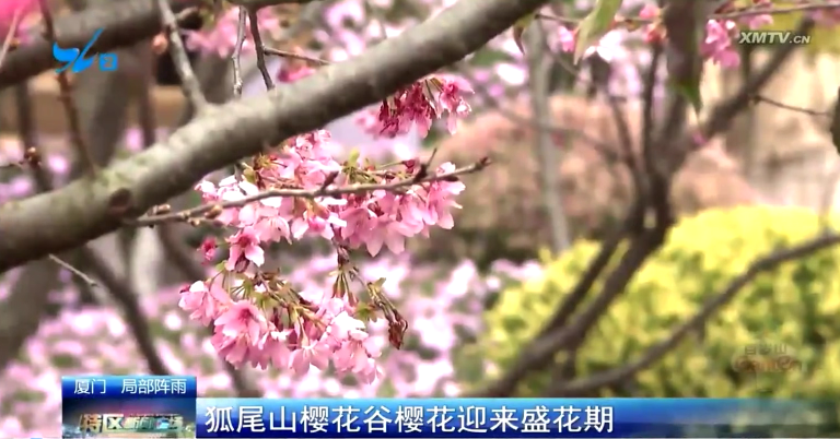 1712025137465426.png 1711695206981.png