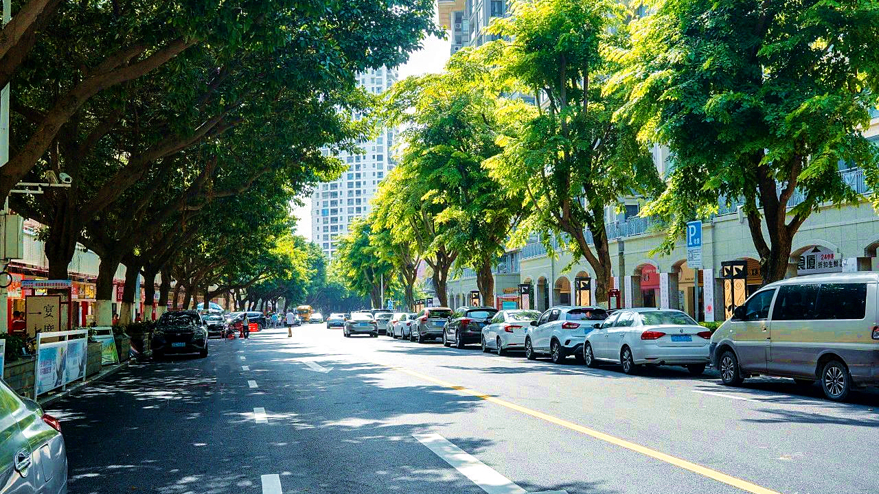 1694591712282876.jpg 樣板區(qū)域道路提升受好評(píng) (3).jpg